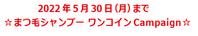 2022年5月30日（月）まで☆まつ毛シャンプー　ワンコイン　Campaign☆
